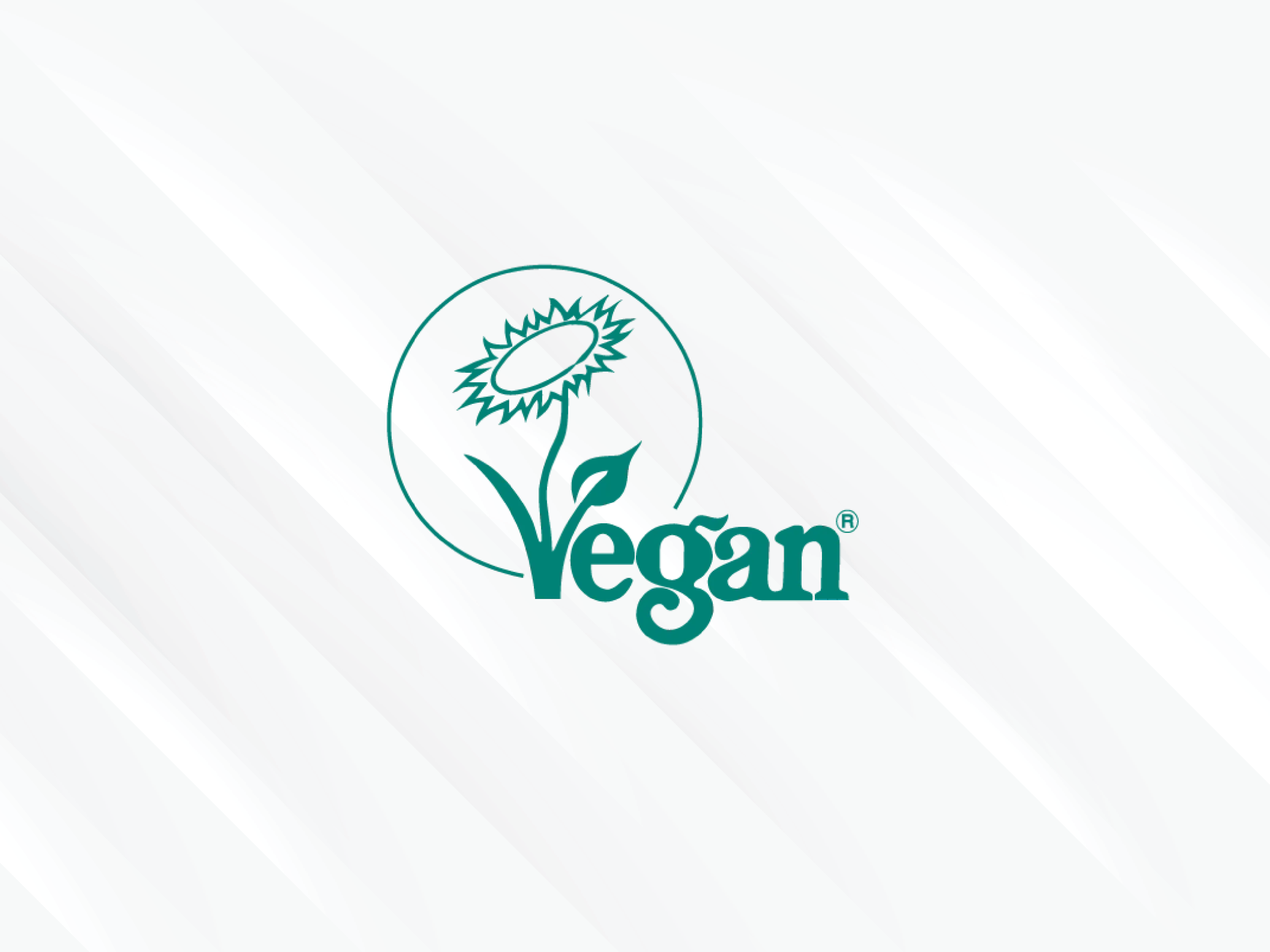 Blog Template 4